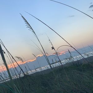 Meet your Posher, Breanna